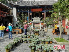 寂照寺：空气清崭新、 周边环境幽静