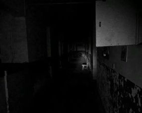 废弃医院的神秘事件：一个令人毛骨悚然的午夜之旅