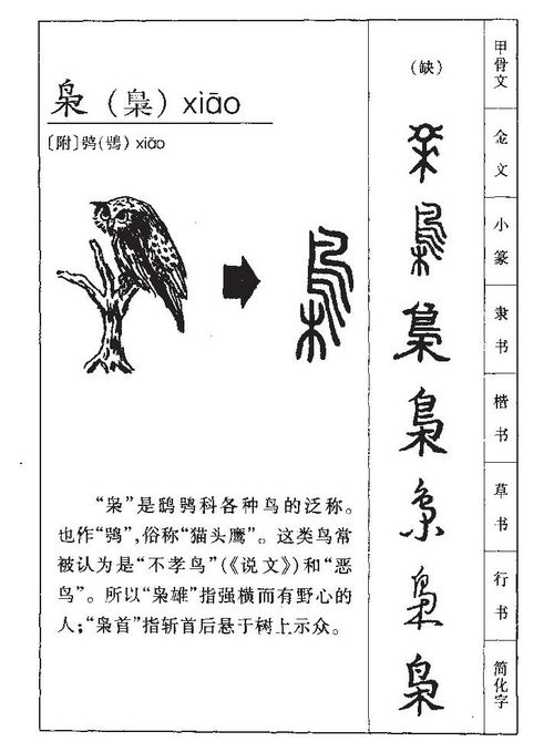 枭字取名是否吉利？适合一般人群使用吗？