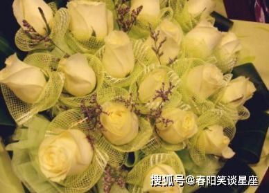 探究背景与问题提出