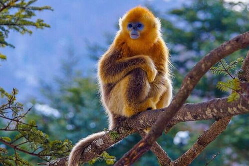 醒醒吧！婚姻幸福的关键在这里