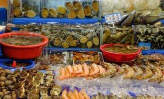 到底吃什么才嫩活下去