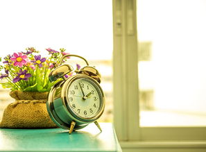 一、 生肖视角下的偏财运特质分析