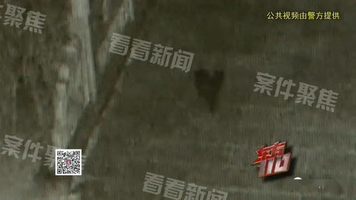 二、儿童画中的线索：解读童真与现实之间的微妙关系