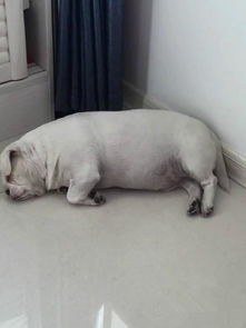 大海水命姓汪，83年属猪，如何取名以补其缺？