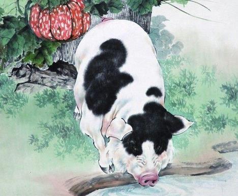 福气冲天四大生肖女性比较分析