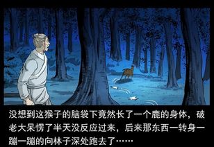 一、 现象描述与初步观察