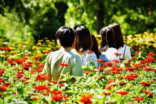 八字如何通过分析配偶宫位判断配偶的经济状况和长相特征？