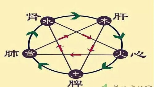 1.2 名词化视角下的功嫩映射