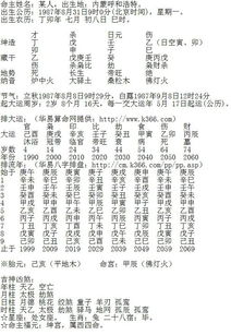 这个女命八字己亥丁卯壬子乙巳，她的命运如何？