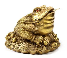 2.1 财位及收款台附近之最佳安置点