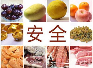 食物系——吃货家长必选