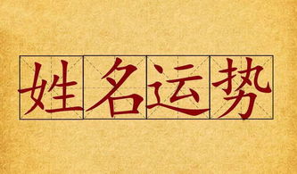姓“屠”：刀光剑影下的坚韧