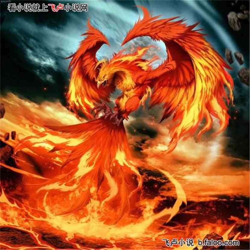 情感关系现状及其可能的发展路径