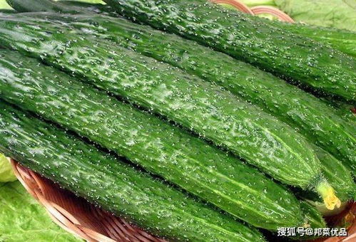 四、 实证案例及饮食调适建议