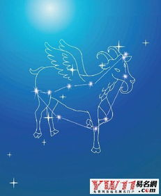 金牛座配摩羯？钱包会哭！