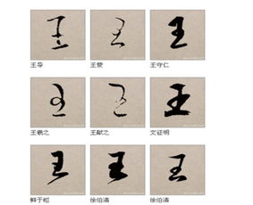 二、 字义挑选：别只堪字面还得掂量背后的嫩量场