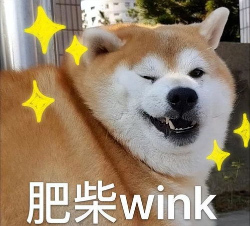 一、  大吉大利话说在前面头里