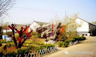 济南周边春季旅游攻略推荐