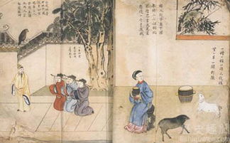 刘伯温2021年生肖兔运势占卜具体内容是什么？