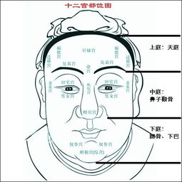 面相学在婚姻选择中的应用