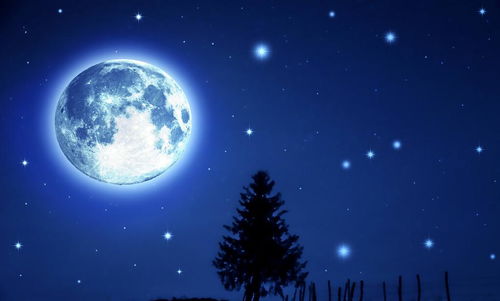 生肖星座视角下的夜间异响解读