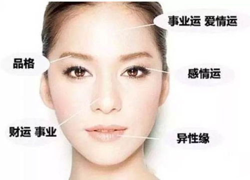 女生眉毛淡面相代表什么含义？