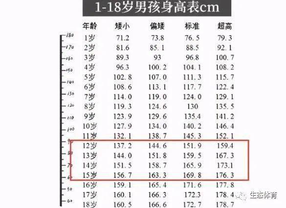 3. 对比分析：合适的女性名字选项