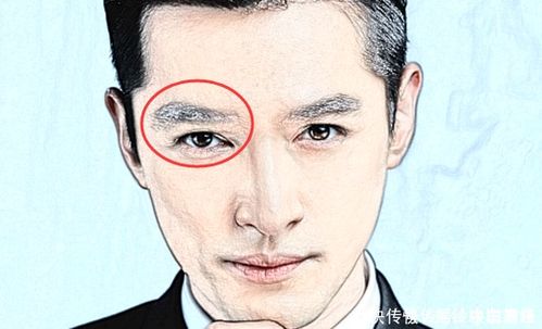 刘强东：财库丰厚的象征与未来发展的局限