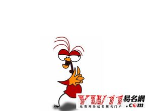 ：时间维度下的命运轨迹与1993年属鸡女性的运势演变