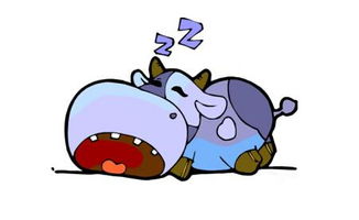 十二生肖牛与哪个生肖最匹配，构成最佳婚姻配对？