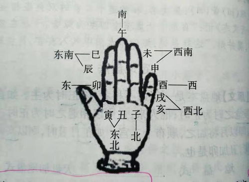 一、  基础理论体系的构建：从周易本源到五行生克