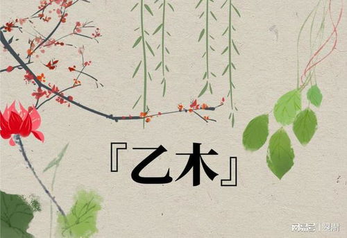 二、 日主乙木所在宫位及其吉凶作用于