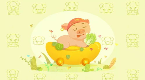 一、 ：探究背景与目的