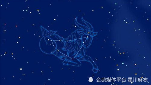 属兔狮子座2026年七月运势和属兔天秤座2026年全年运势具体内容是什么？