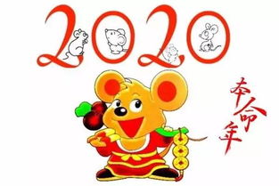 本命年属鼠的人应该佩戴什么吉祥物来转运？