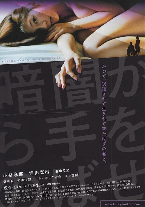 第四章：日记的暗地