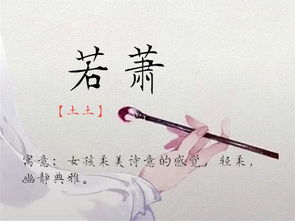 我的个人经历：李字的冲击