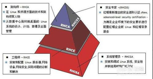 a) 鼠——智慧与机遇并存
