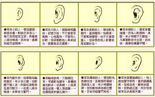 ：体相与命运的交织