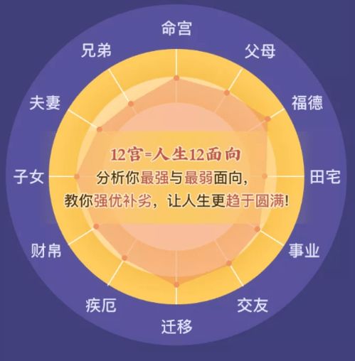 2026年紫微运势如何，免费测算2026年紫微流年运势结果揭晓？