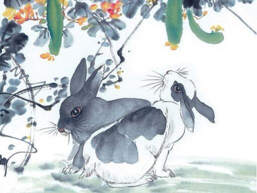 2026年属兔的人如何转运，有什么特定的转运物品推荐？