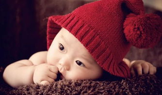 龙年生娃就了不起啊？