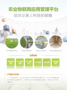 情感色彩：让科学研究技术手段更人性化