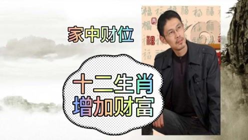 第一节 生肖星座本质属性解析：先天禀赋与性格结构的确定性框架