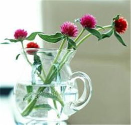 不同种类的花在风水上会有不同的摆放要求吗？