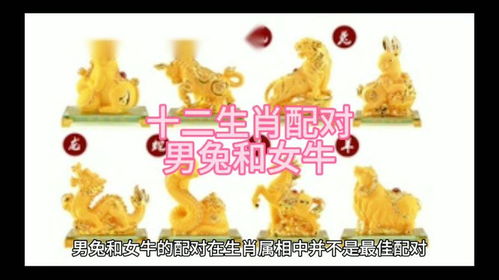 生肖牛与兔相配吗？牛配兔的含义是什么？