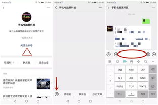 案例分析：生肖昵称中的霸道风采