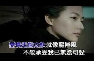 简单遭人利用之主流人物之揭示