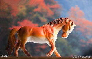 属马的人属狗的贵人是谁？属马属狗的年份又是哪一年呢？